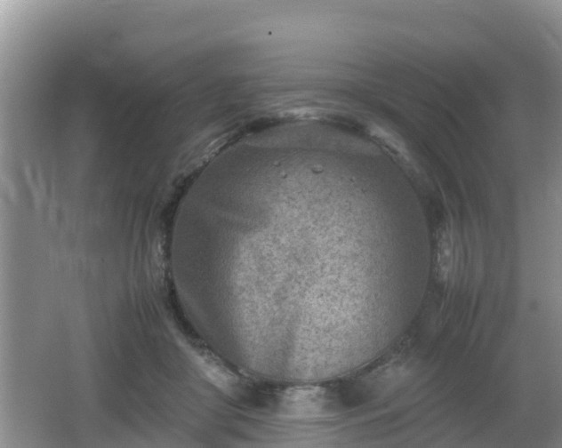 X0000062130410200512121220