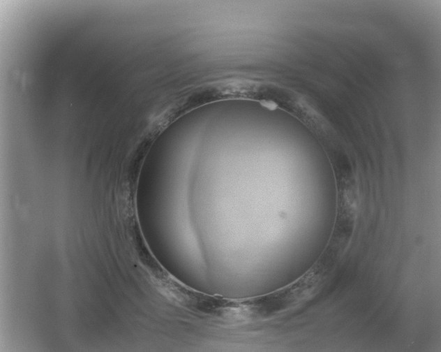 X0000062130411200512121220