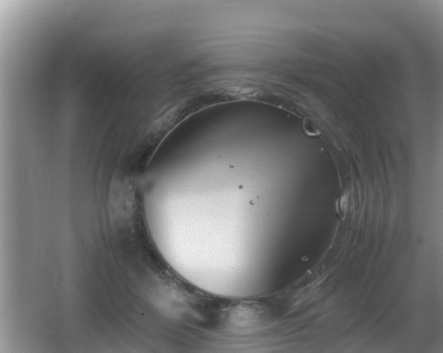 X0000062130412200512121220