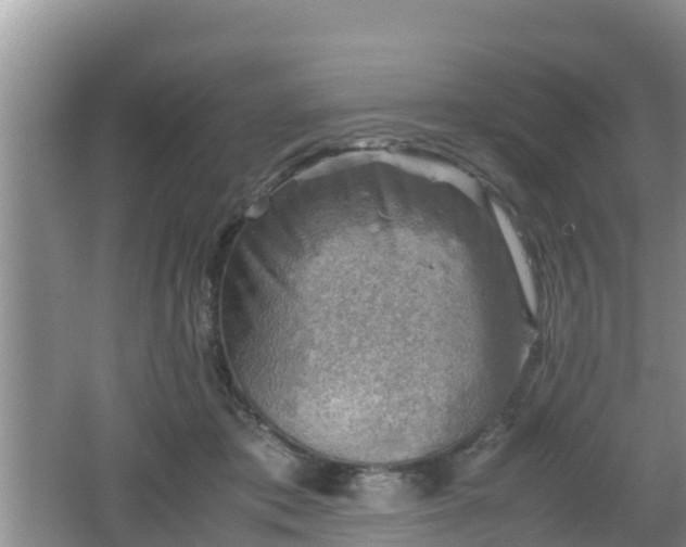 X0000062130413200512121220