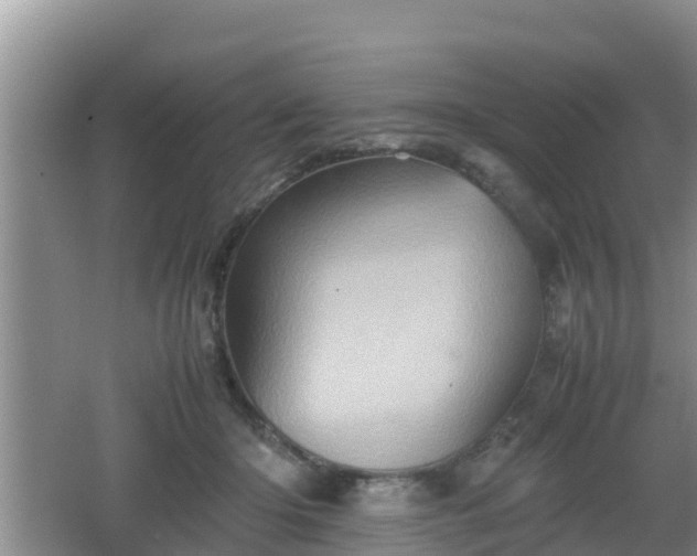 X0000062130414200512121220