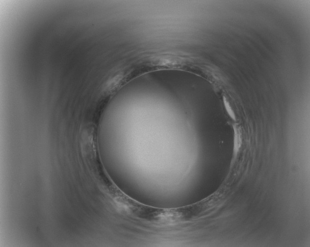 X0000062130415200512121220