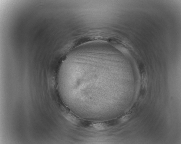 X0000062130417200512121220