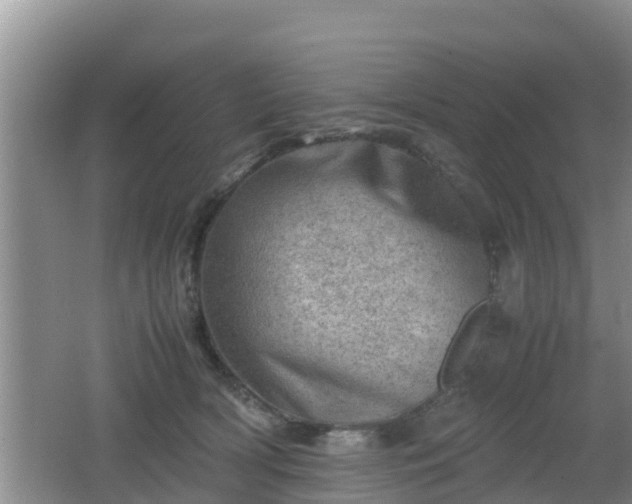 X0000062130418200512121220