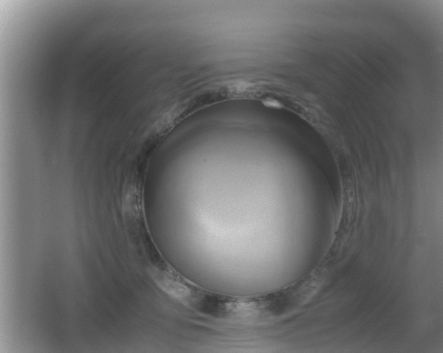 X0000062130419200512121220