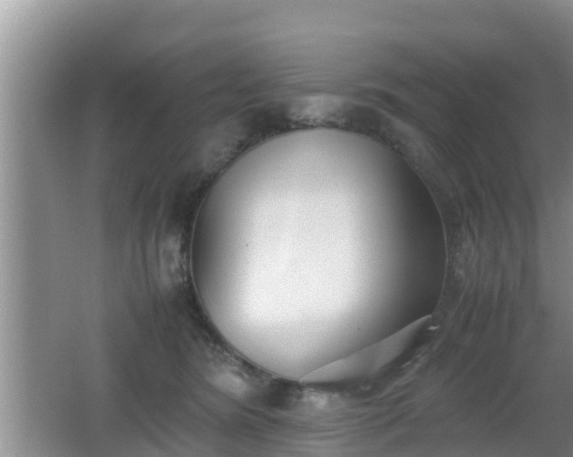 X0000062130420200512121220