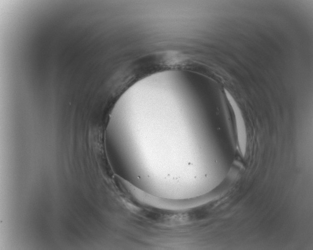 X0000062130421200512121220