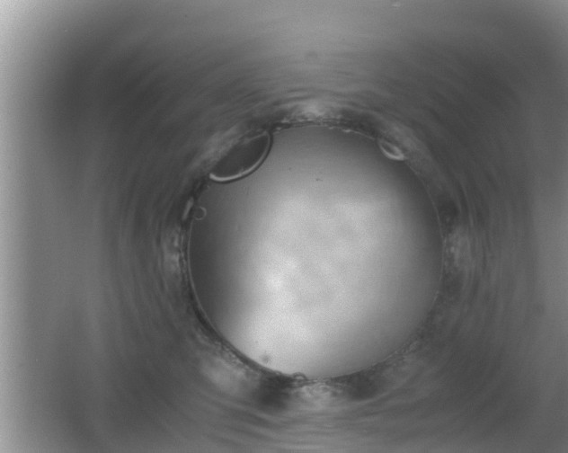 X0000062130423200512121220