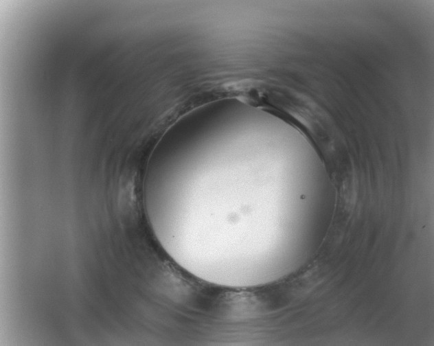 X0000062130424200512121220