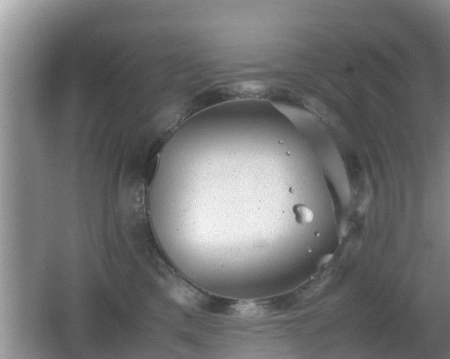 X0000062130425200512121220