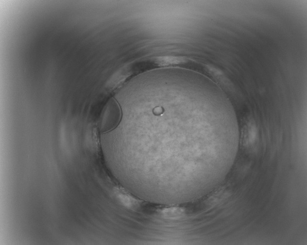 X0000062130426200512121220