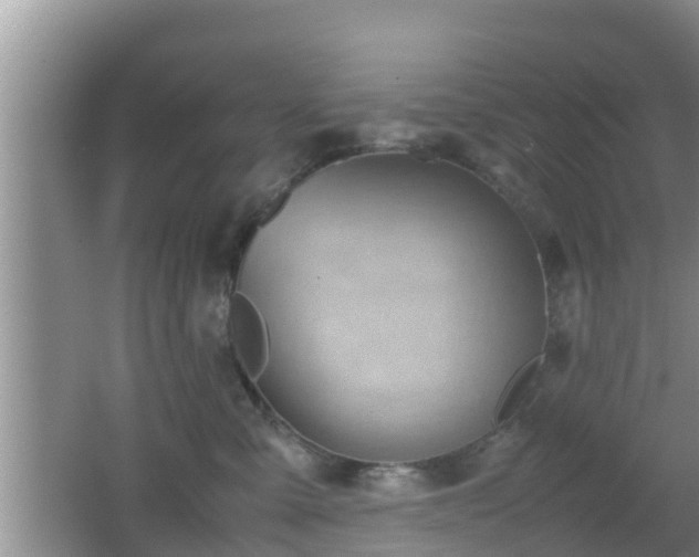 X0000062130427200512121220