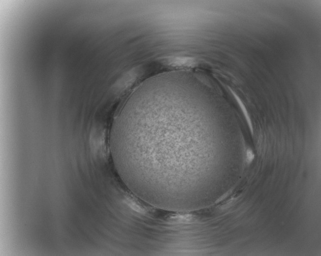 X0000062130428200512121220