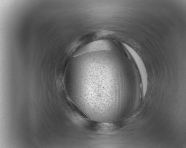 X0000062130429200512121220