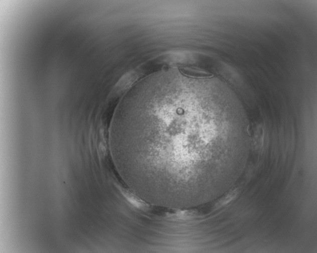 X0000062130430200512121220