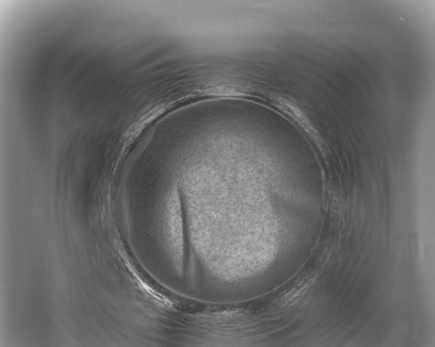 X0000062130433200512121219