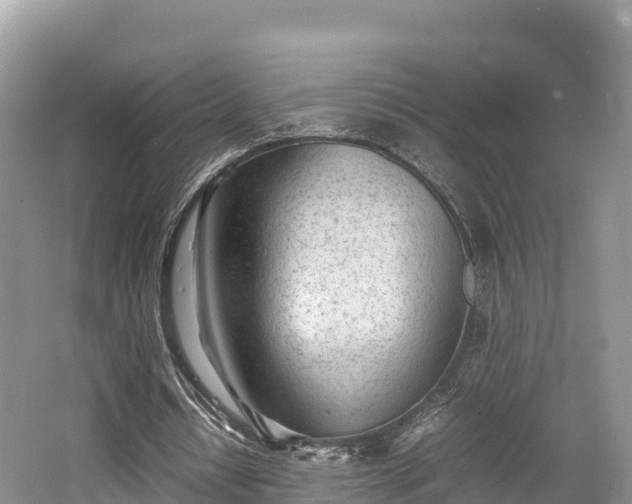 X0000062130434200512121219