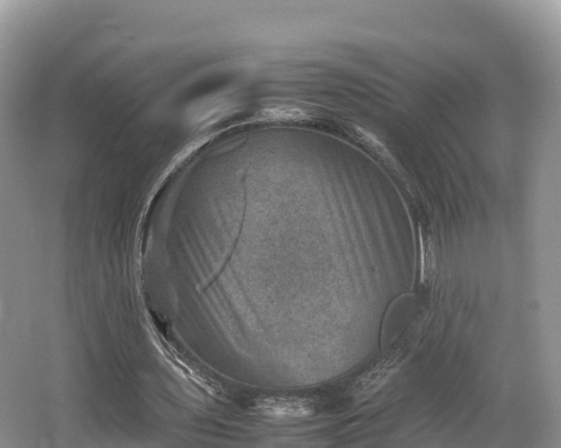 X0000062130435200512121219