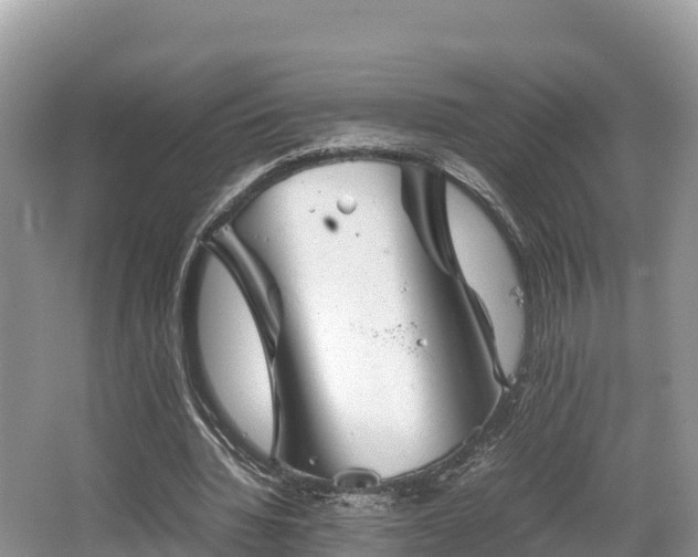 X0000062130436200512121219