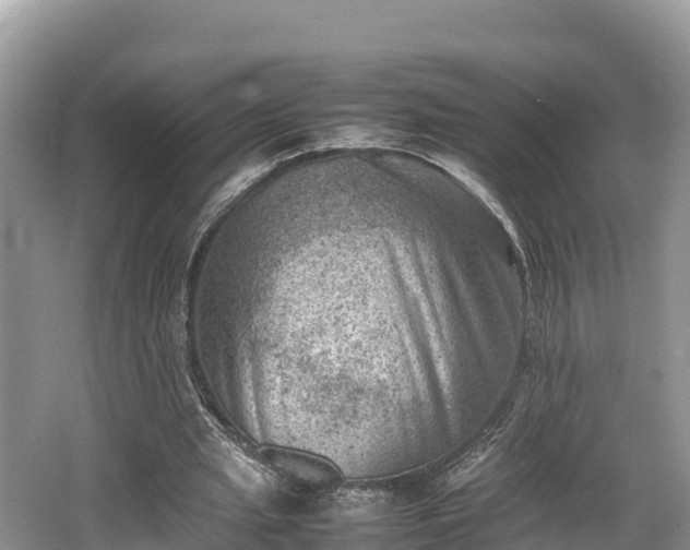 X0000062130437200512121219