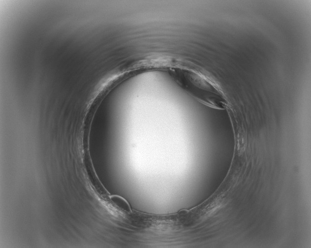 X0000062130438200512121219