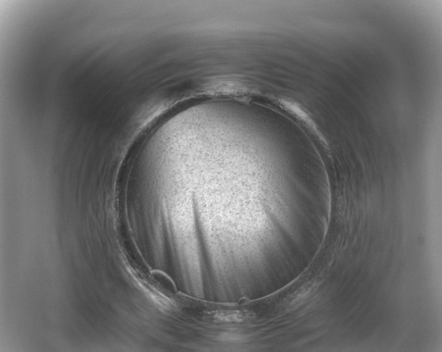 X0000062130439200512121219