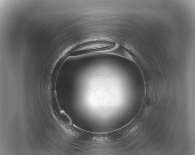 X0000062130440200512121219