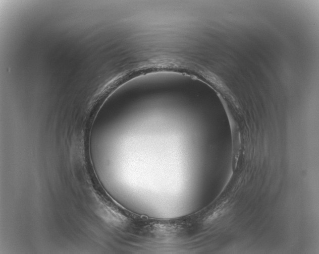 X0000062130442200512121219