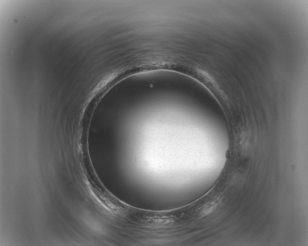 X0000062130443200512121219