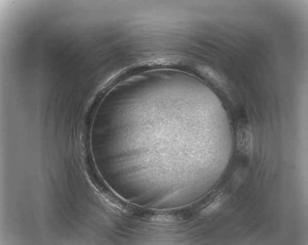 X0000062130444200512121219