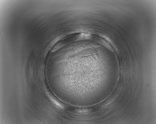 X0000062130445200512121219