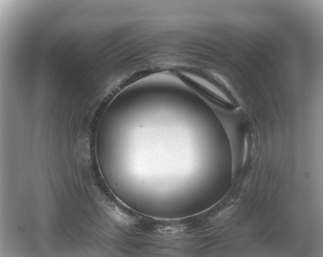 X0000062130447200512121219