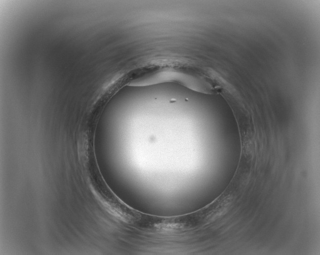 X0000062130448200512121220