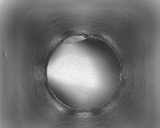 X0000062130449200512121220