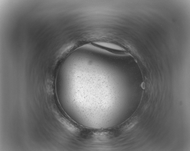 X0000062130450200512121220