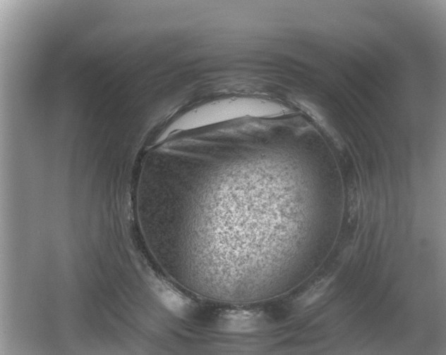 X0000062130453200512121220