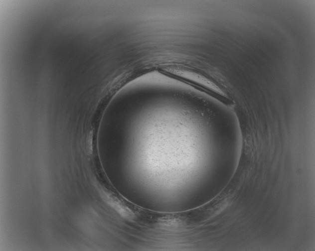 X0000062130454200512121220