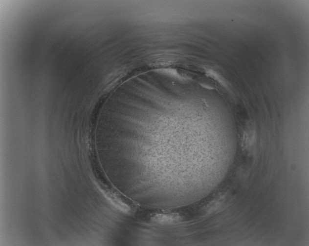 X0000062130455200512121220