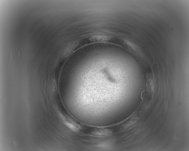 X0000062130459200512121220