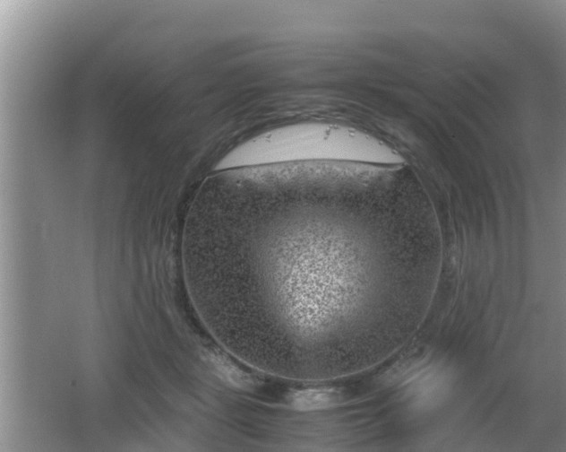 X0000062130461200512121220