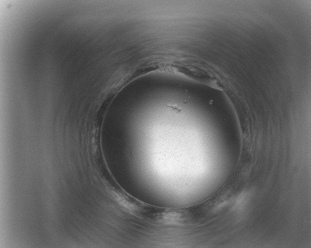 X0000062130462200512121220