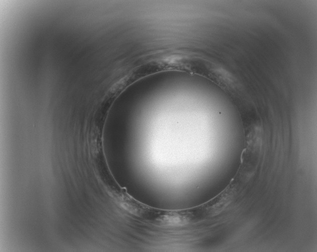 X0000062130464200512121220