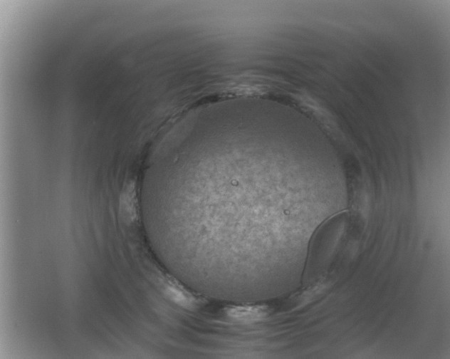 X0000062130465200512121220