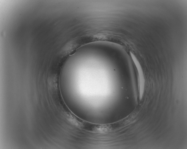 X0000062130466200512121220