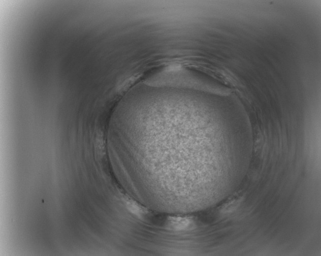 X0000062130469200512121220