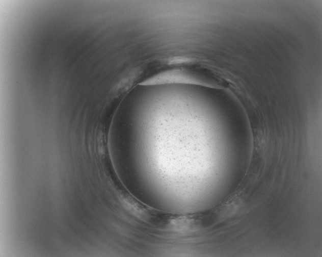 X0000062130470200512121220