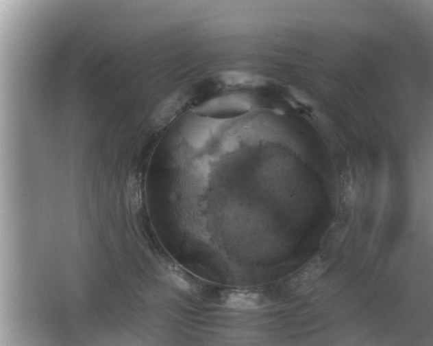 X0000062130471200512121220