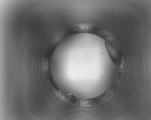 X0000062130472200512121220