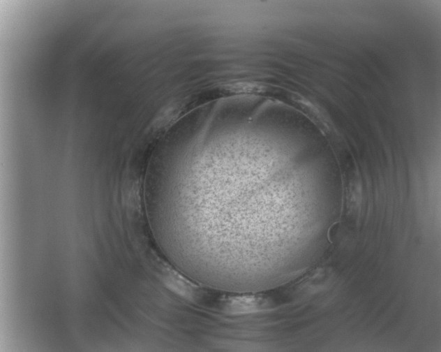 X0000062130473200512121220