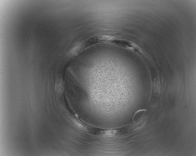 X0000062130474200512121220